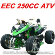 CUADRADO DEL ATV DE RACING 250CC (MC-388)